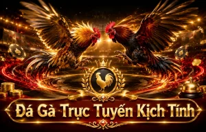 Giao diện Đá Gà eleonorcoco